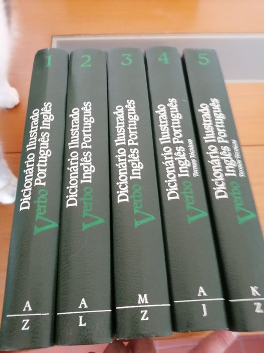Dicionários de língua portuguesa