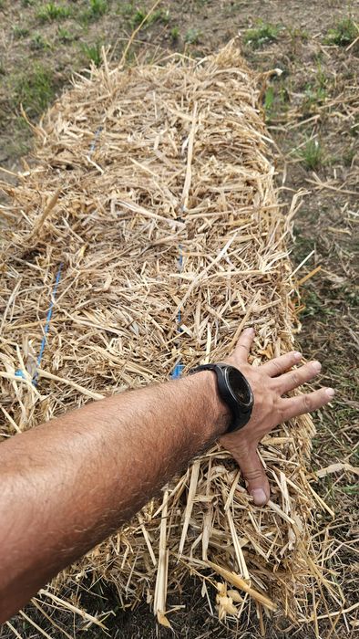 Palha de aveia e azevem