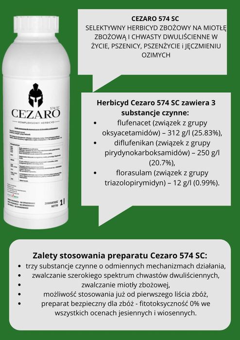 Cezaro 574 SC  5 L herbicYD jesienny na chwasty w zbożu WYSYŁKA Gratis