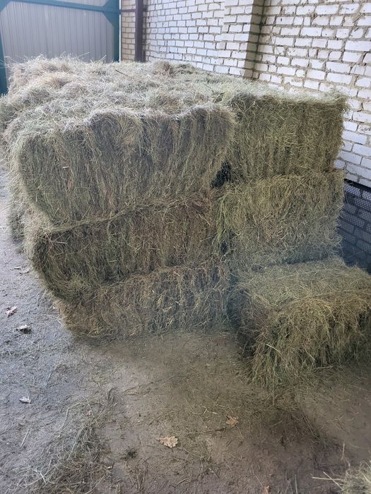 тюки сухої трави, тюк сіна,