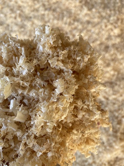 Sucha trocina / trocina na pellet / biomasa /wióry sosnowe