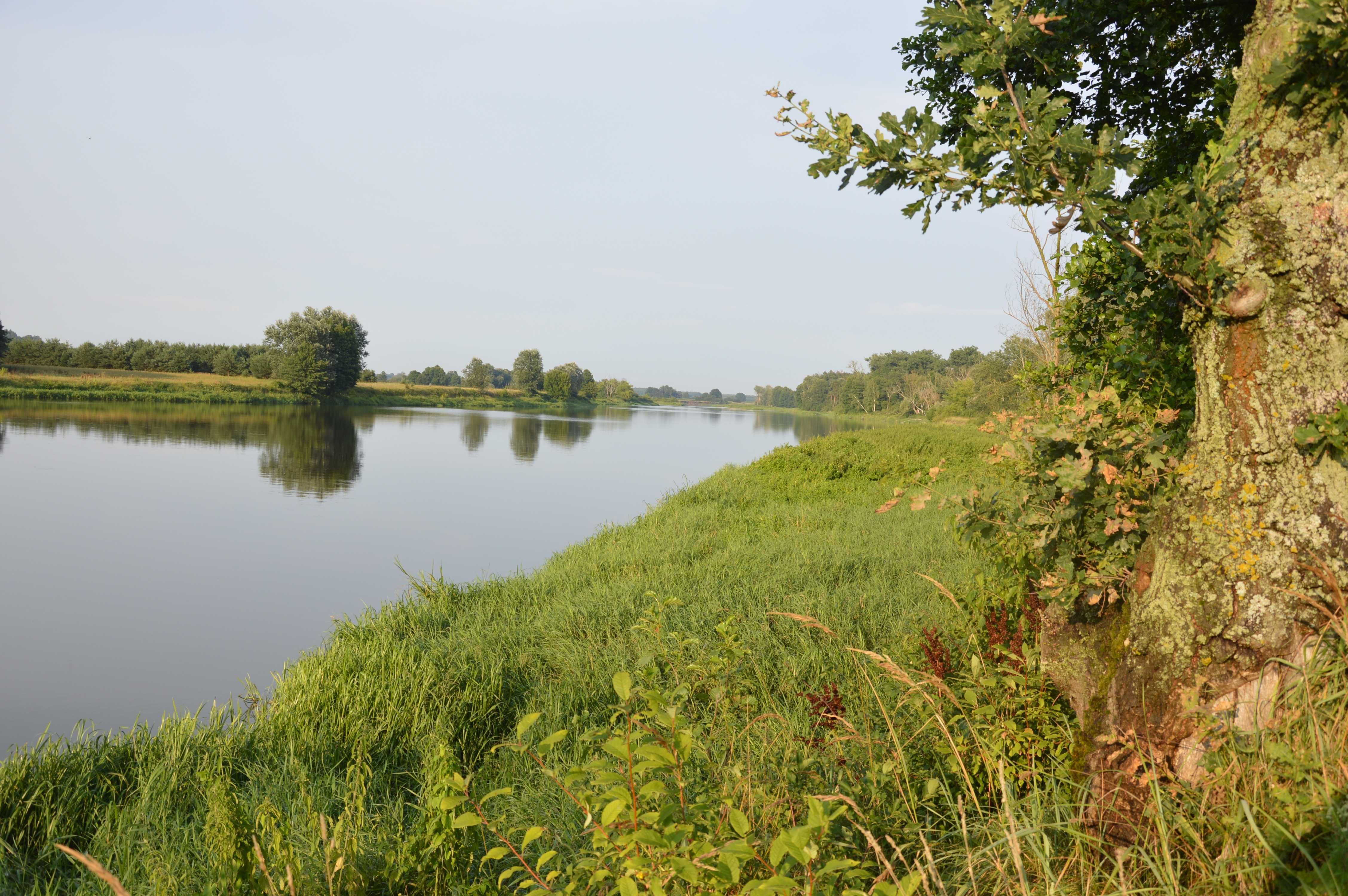 Mężenin nad Bugiem domek letniskowy na uboczu