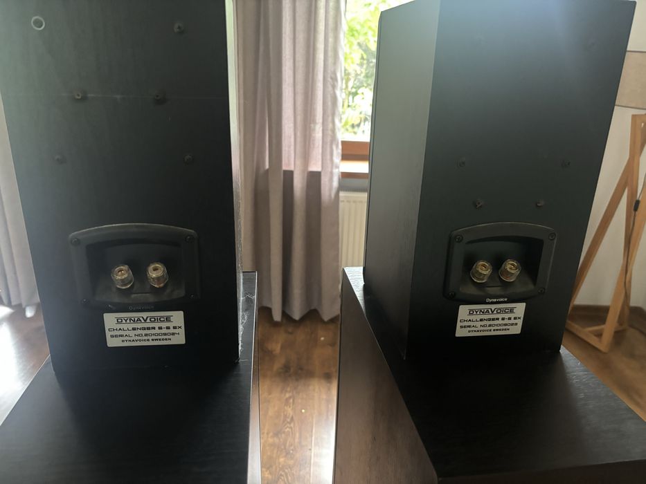 Kolumny kino domowe Dyna Voice