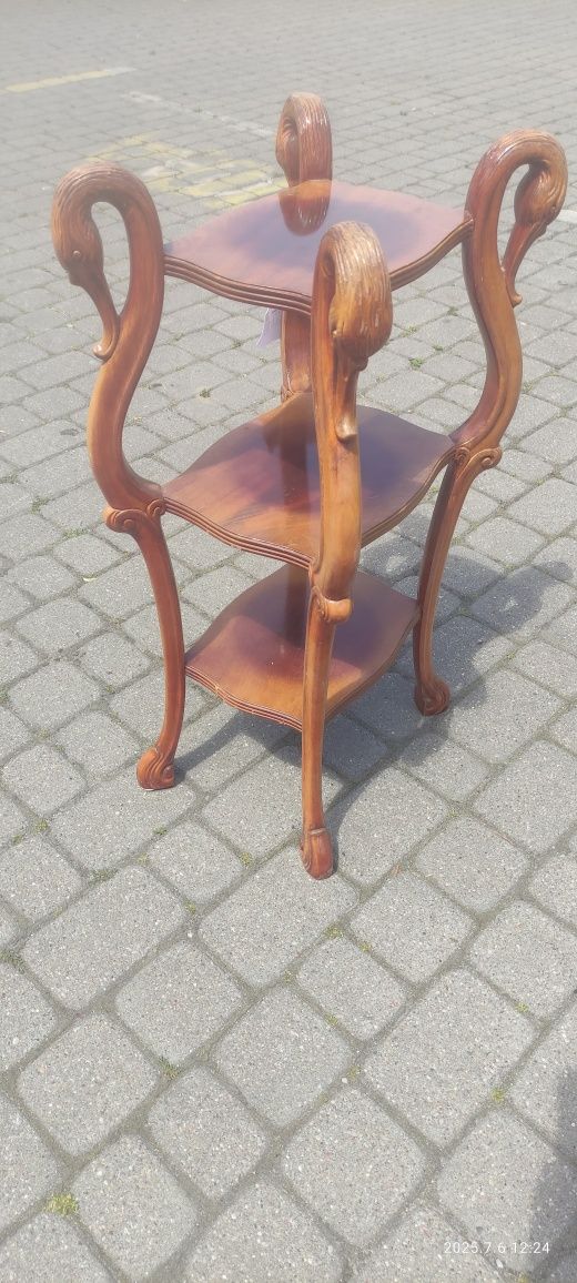 Kwietnik piękny , okazja