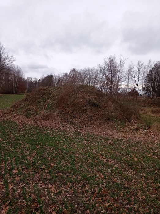 Ziemia po wykopie stawu