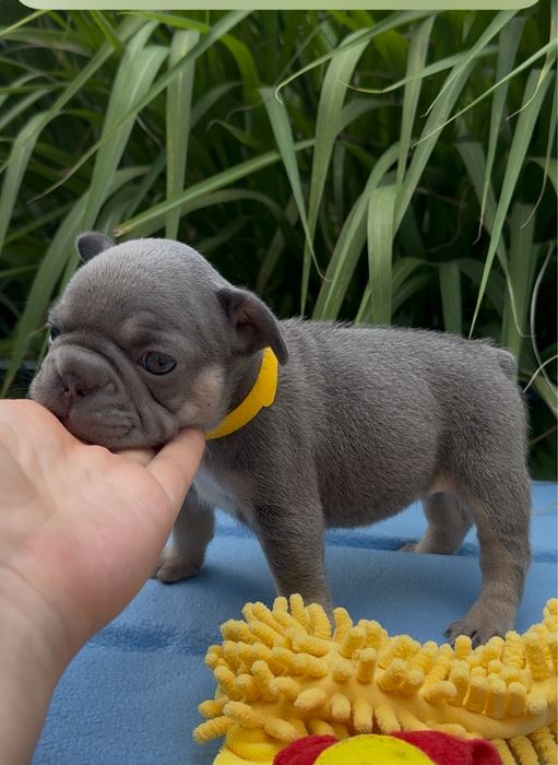 Дівчатка та хлопчики готові до переїзду