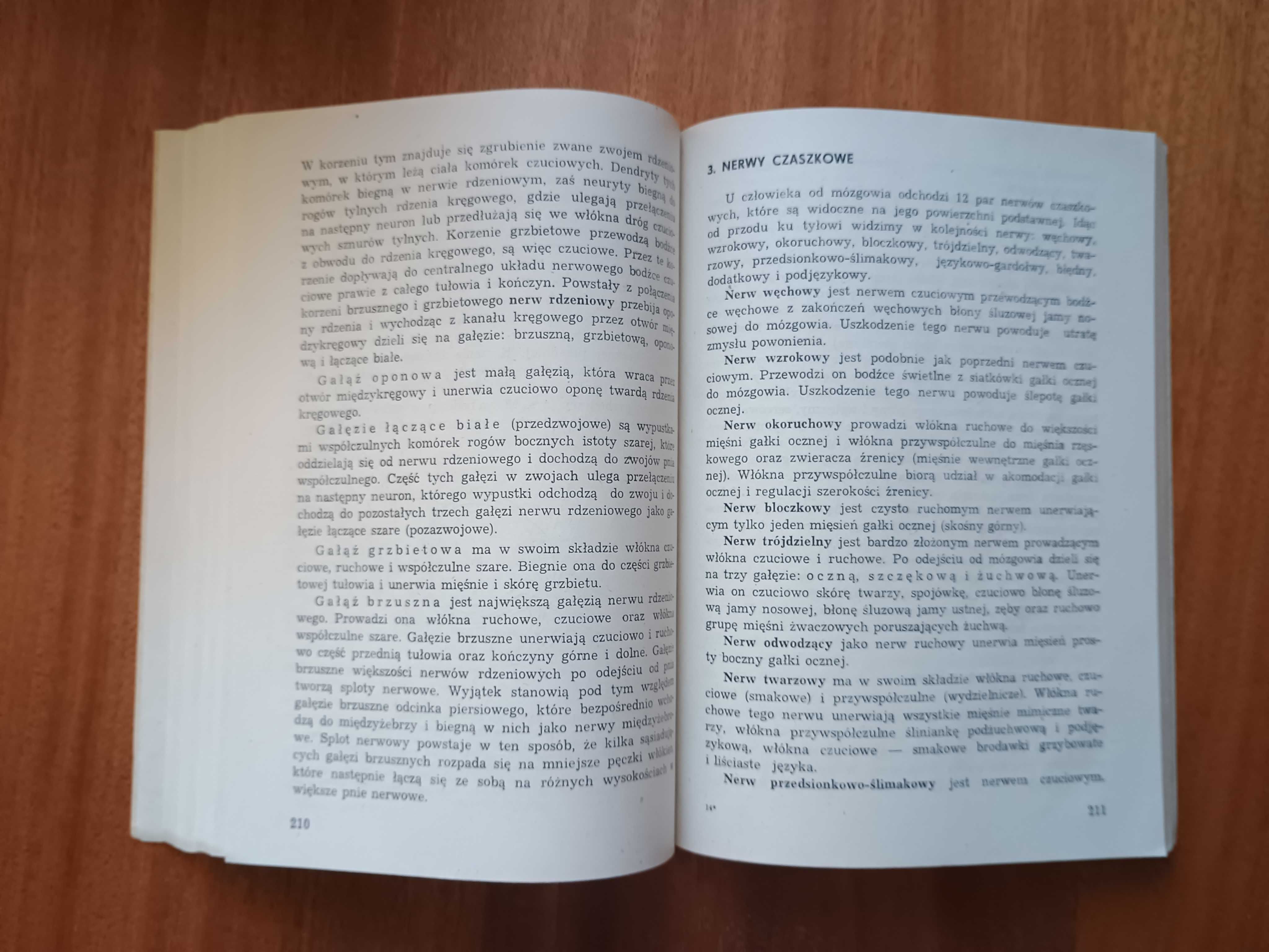 Anatomia i fizjopatologia
