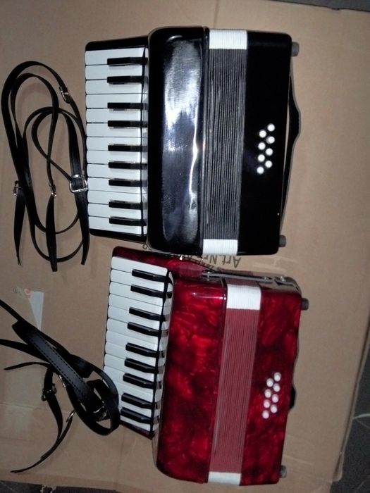 Beginner's Accordion64564183128321124
