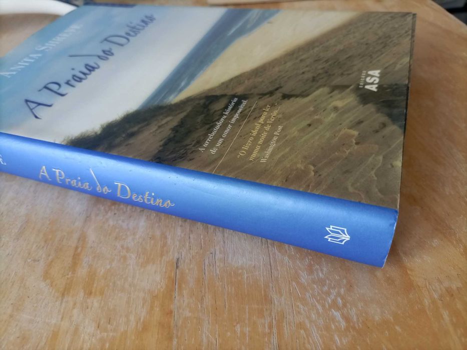 A Praia do Destino - Anita Shreve