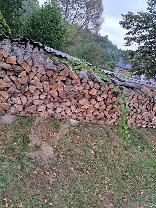 Drewo Drzewo Suche Kominkowe