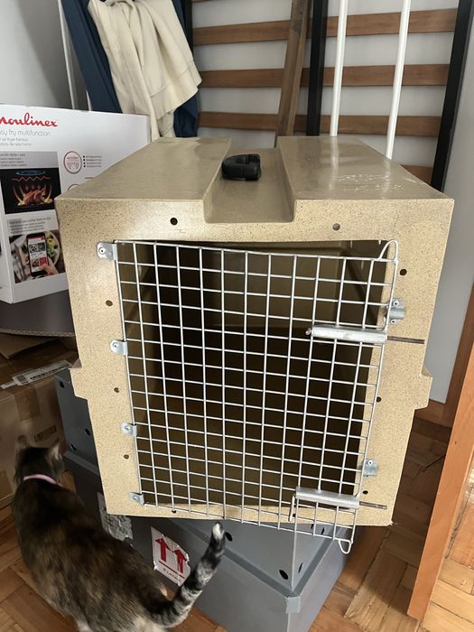 Caixa de transporte PET - Padrao IATA