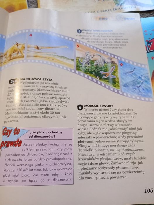 Dinozaury nr. 2,3,5,6,8 zestaw retro magazynów