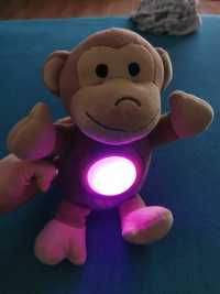 Małpka świecąca zmienia kolory