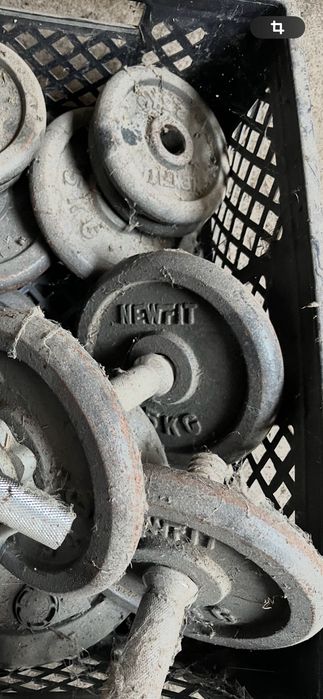 Halteres + Banco de musculação Prospector