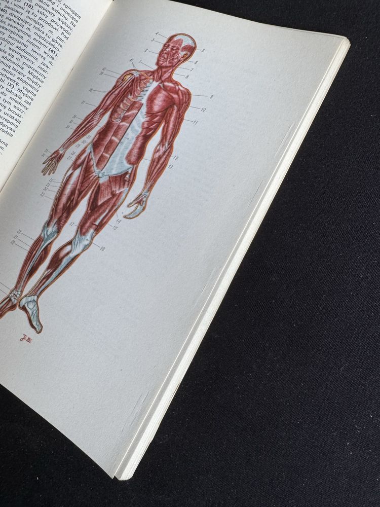 Mały Atlas Anatomiczny - Witold Sylwanowicz 1976 stan bdb