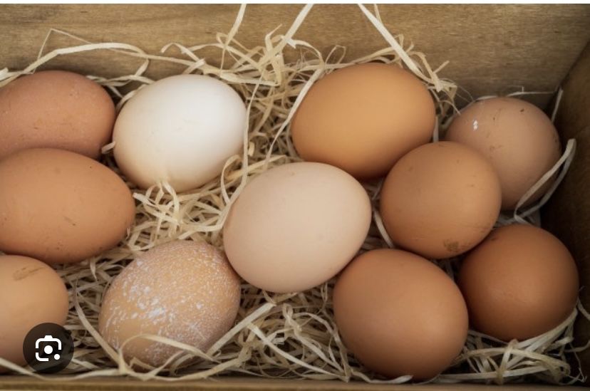 Яйця домашні