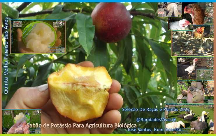 Sabão de Potássio Puro para Plantas (Agricultura Biológica 950)