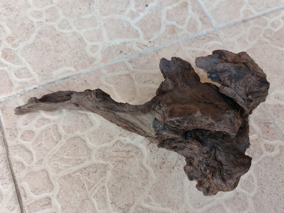 Коряга корч для аквариума дерево Ольхи