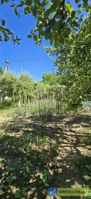 Продається господарство