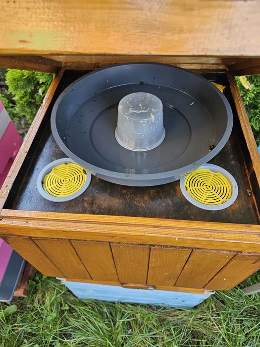 Ule wielkopolskie z  pszczolami rodzinami sklenar g10 h47 alpejka