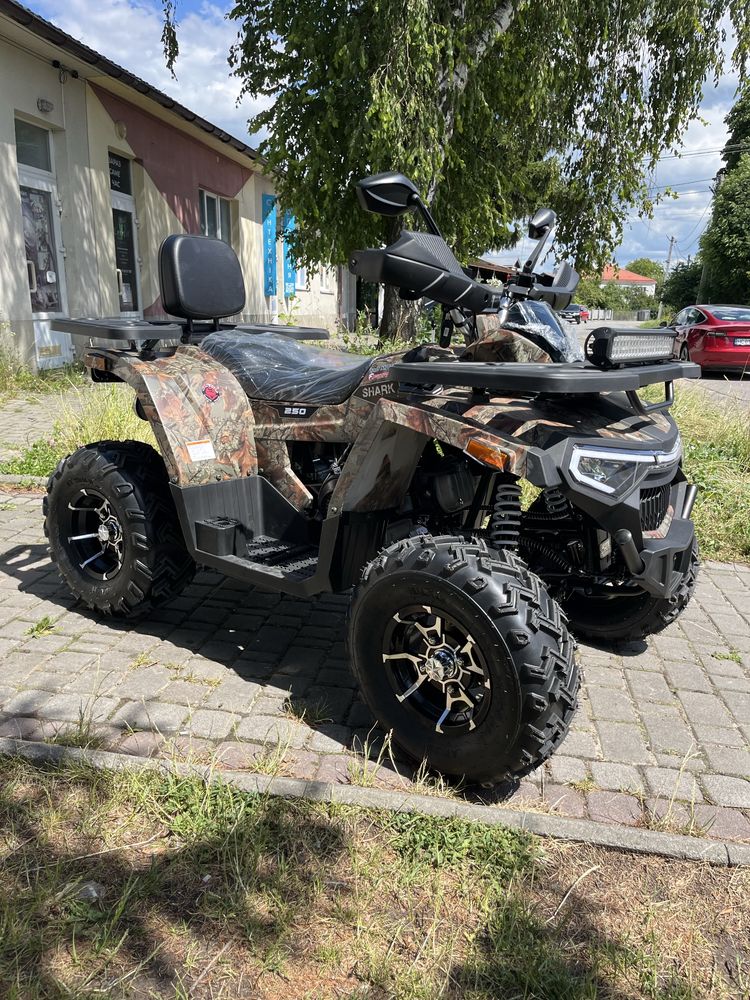 Квадоцикл Forte Shark 250 новинка 2025 року