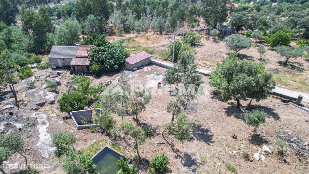 Quintinha para venda em Louriçal do Campo.