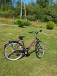 Rower damski kola 28