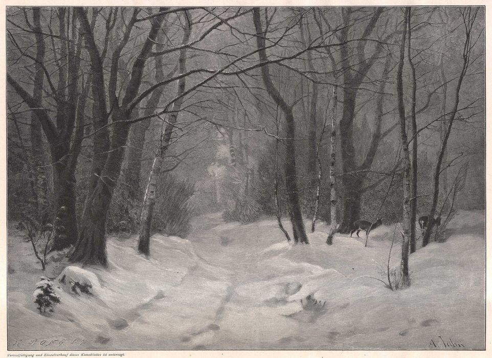Jahn: Pejzaż zimowy. Drzeworyt myśliwski 1903 r. oryginał