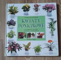 Kwiaty doniczkowe poradnik