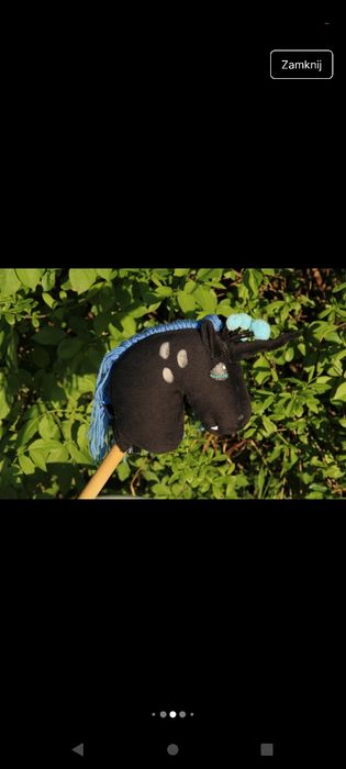 Hobby horse chrystalis