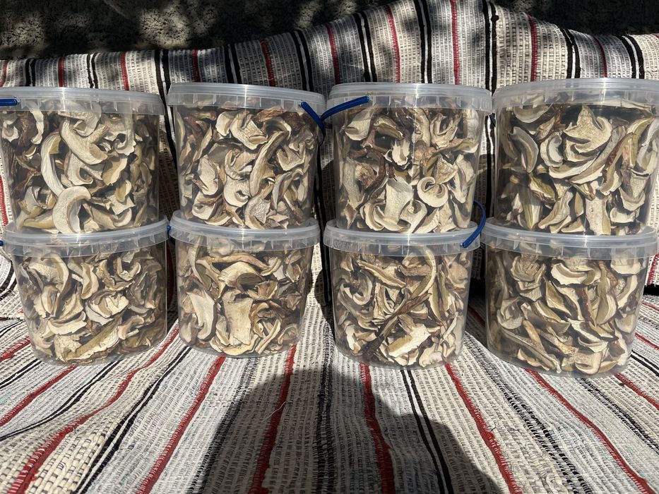 Продам гриби білі сушені і мариновані