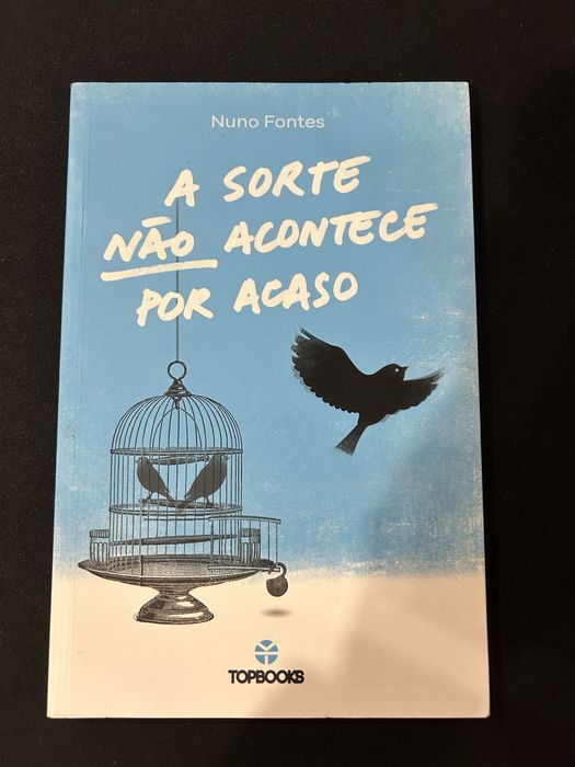 Livro “A sorte não acontece por acaso”