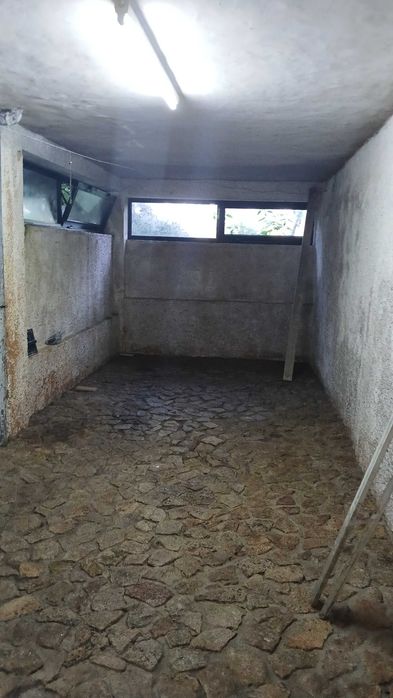 O Rei da Biscatada e Xô Sujidade – Soluções para Seu Lar!