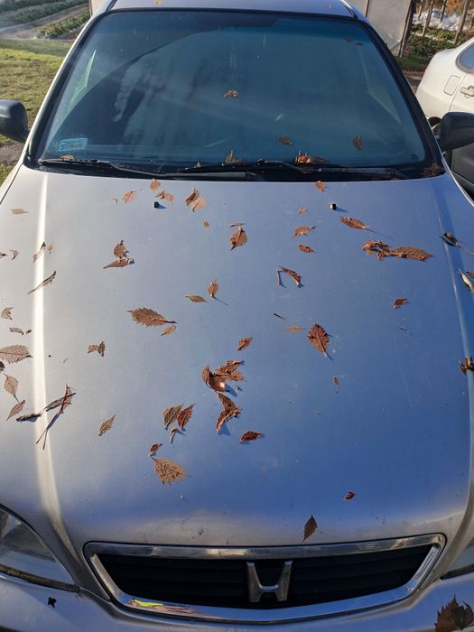 CZEŚĆ Honda Accord