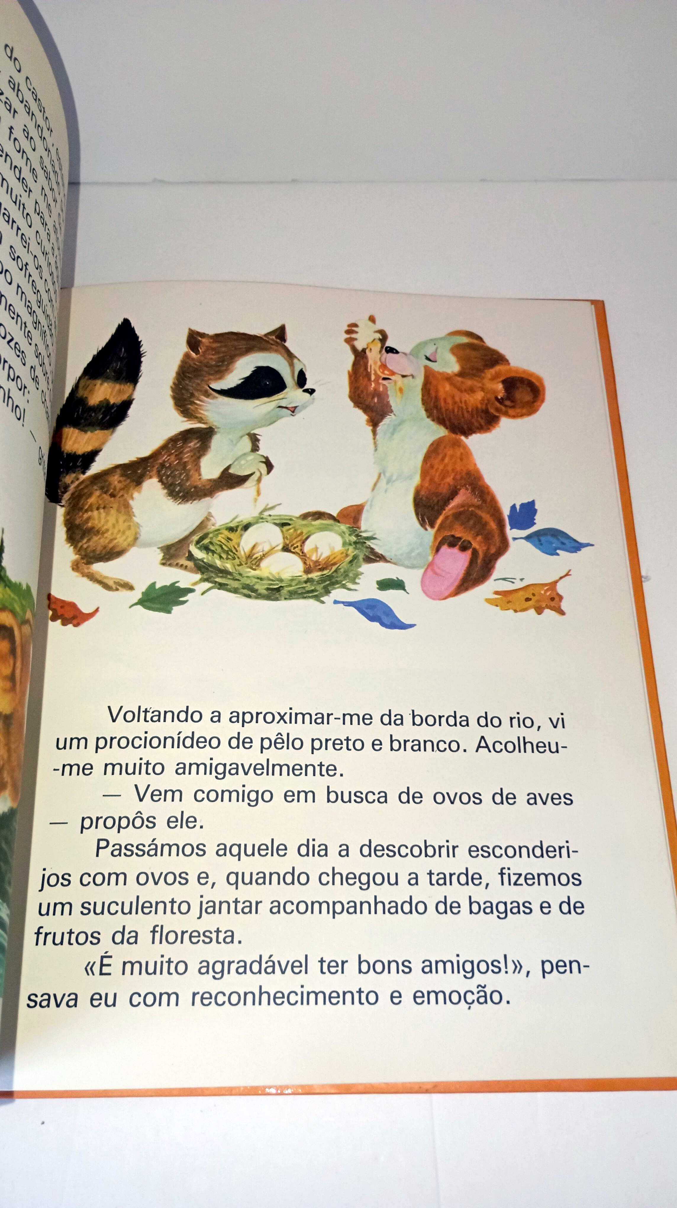 Ursinho e o seus amigos