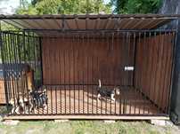 Kojec Klatka Zagroda Buda dla psa 3mx2m Montaż Gratis Solidny