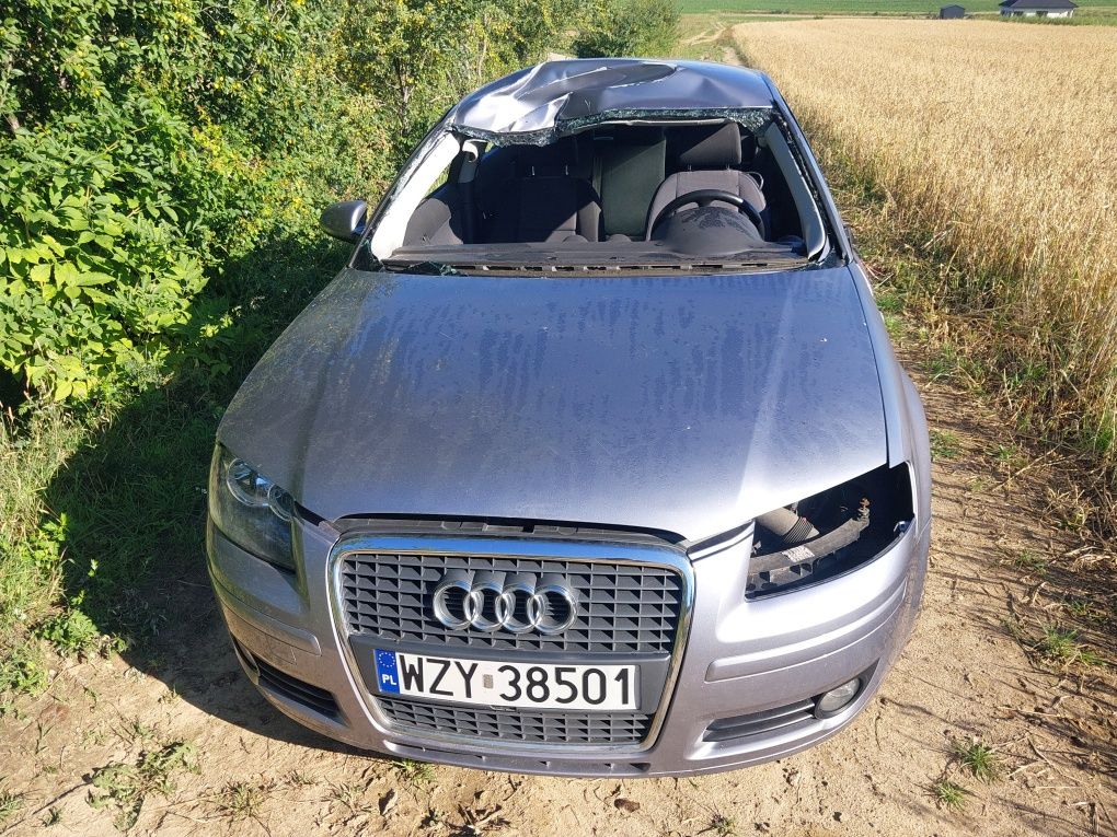 Części audi a3 8p silnik 1.6 mpi bse bgu dkrzynia fvh kolor ly7h