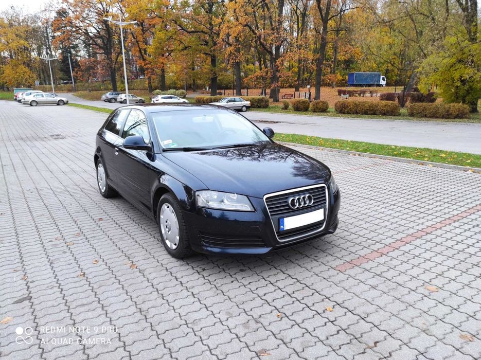 Audi A3 1.9 TDI 2009r. ZAMIANA