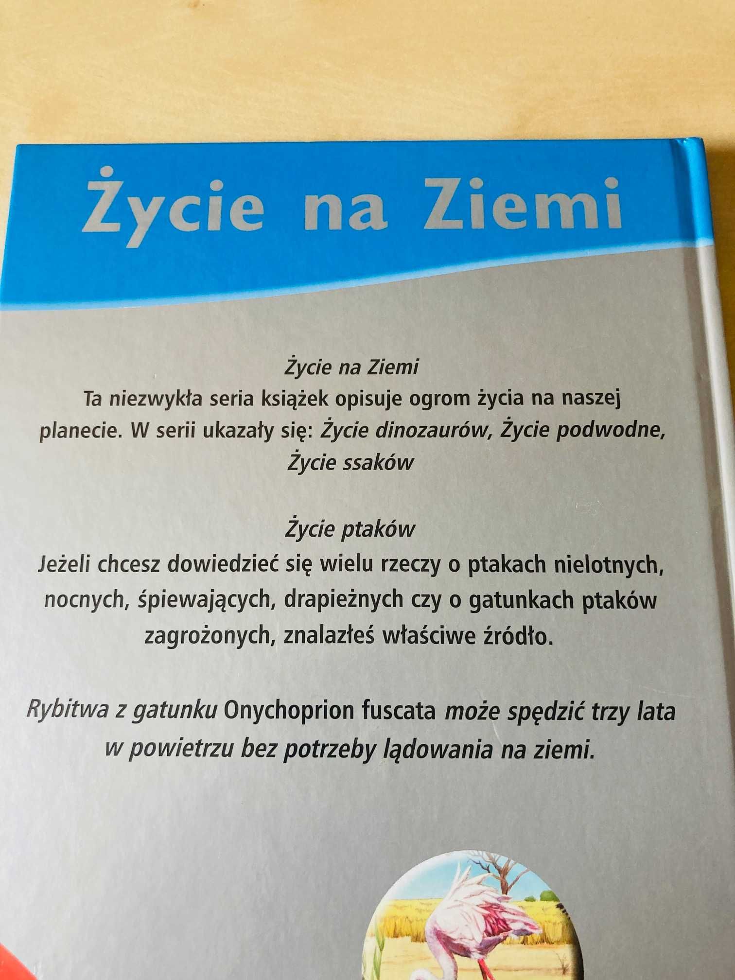 Życie na ziemi Życie ptaków - Elżbieta Wójcik