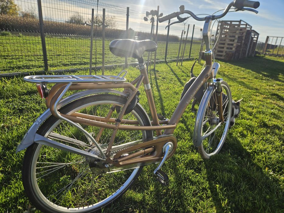 Rower Holenderski Batavus