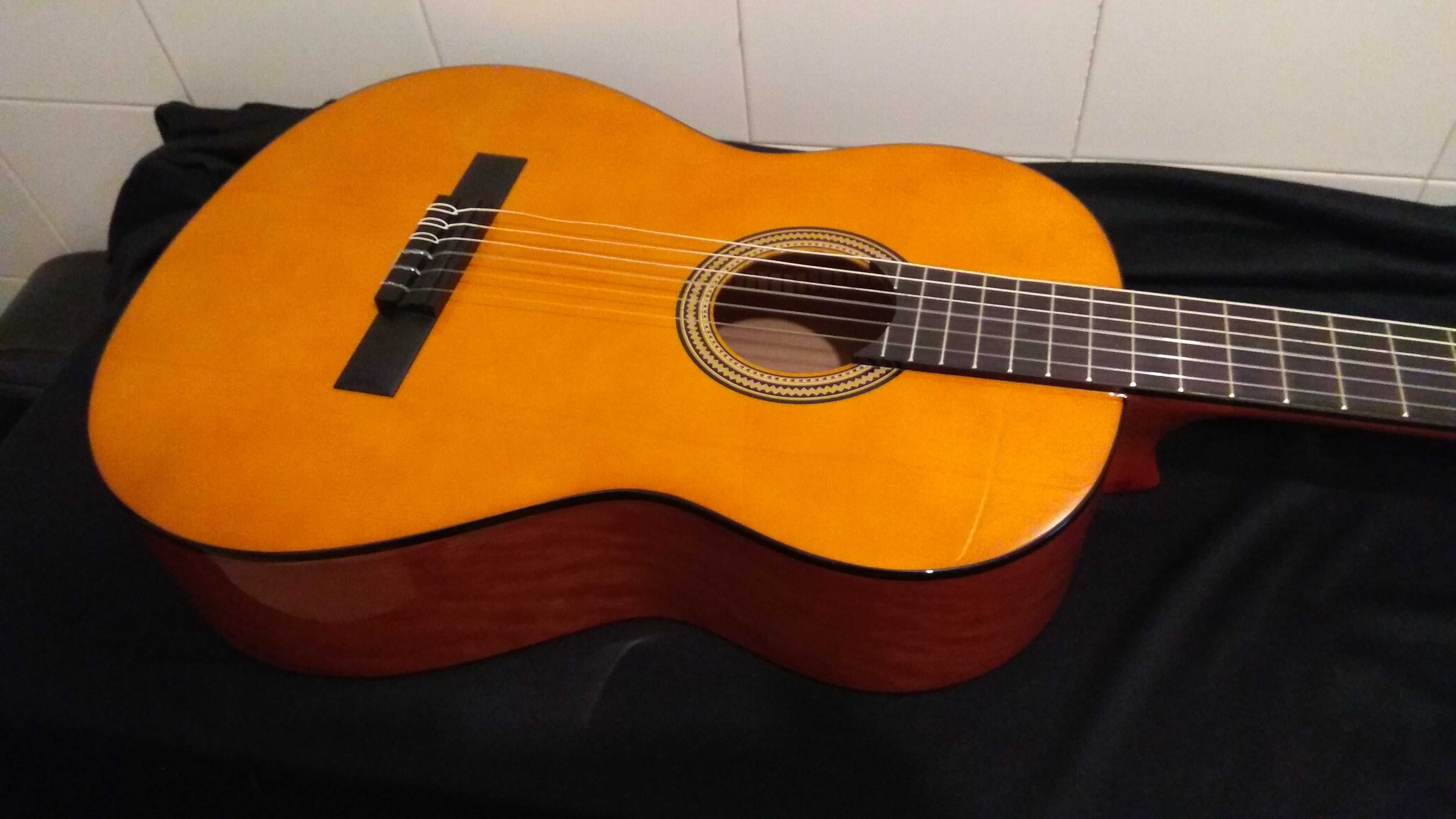 guitarra VALENCIA com trussrod