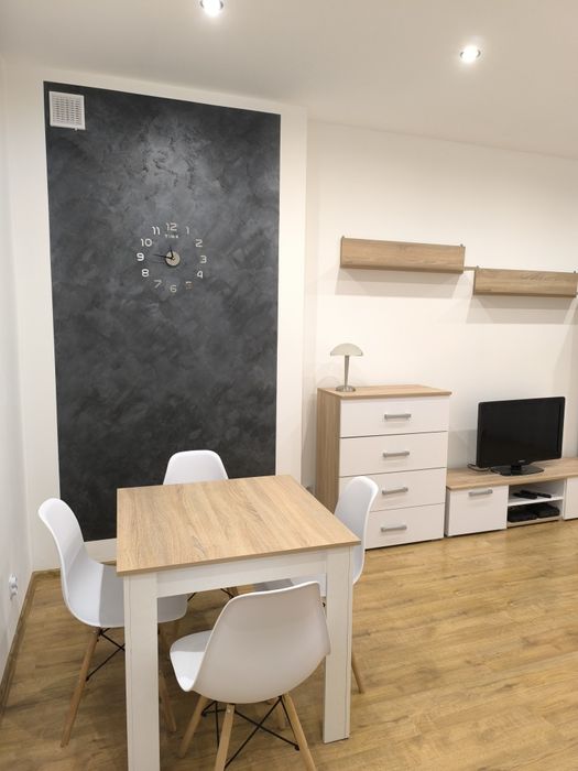 Mieszkanie do wynajęcia świeżo po remoncie