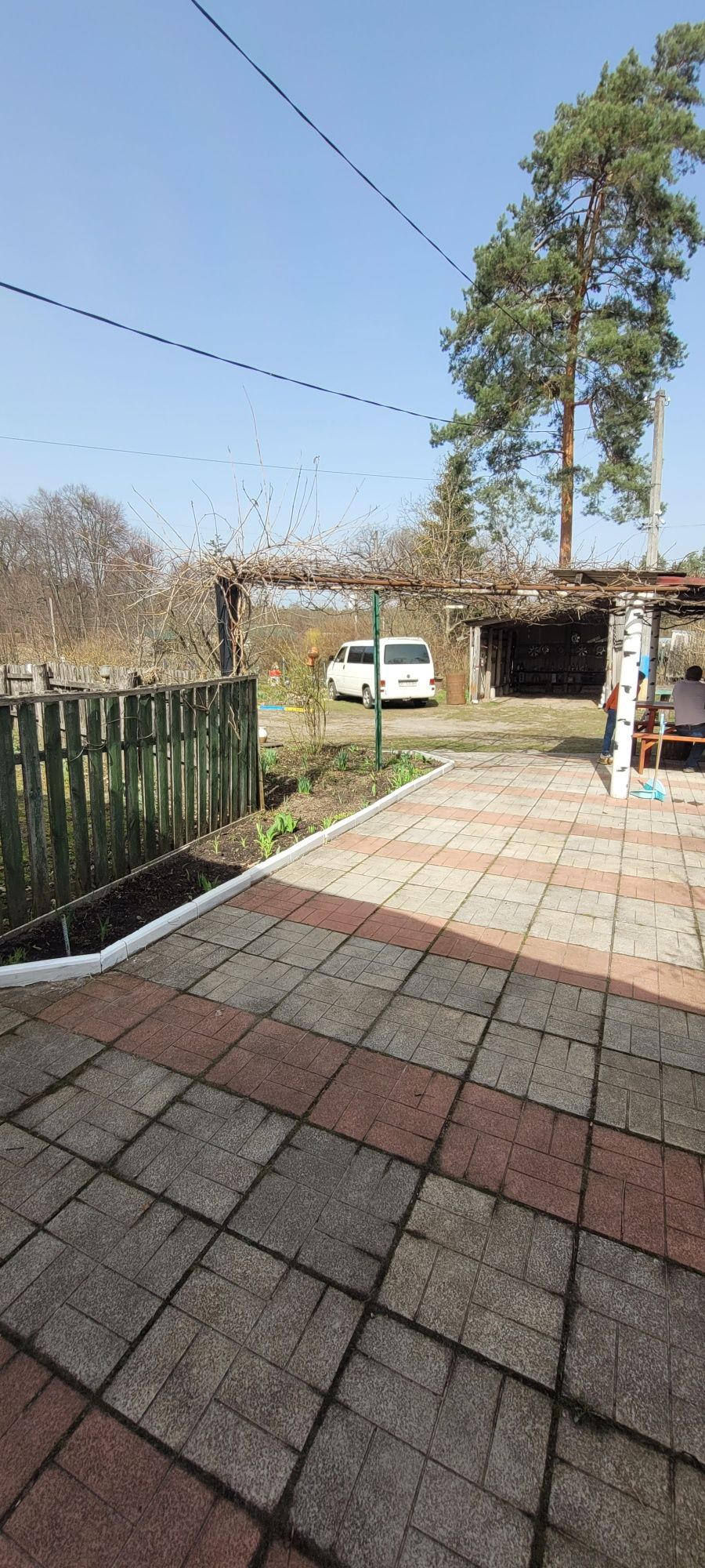 Продам ділянку серед соснового лісу з будинком!