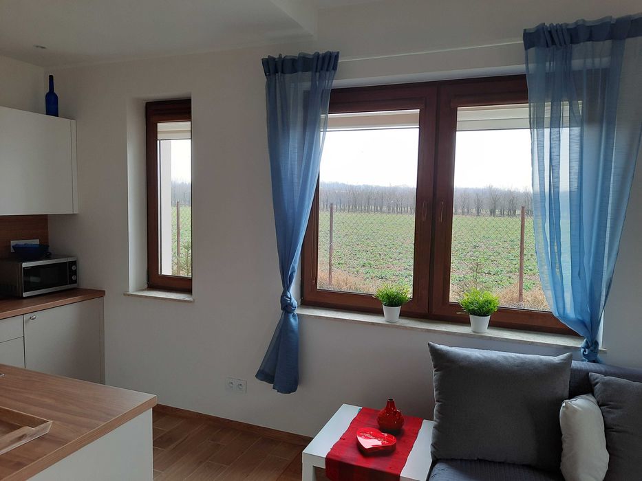 Kawalerka Wiercieńskiego Nałęczów od zaraz