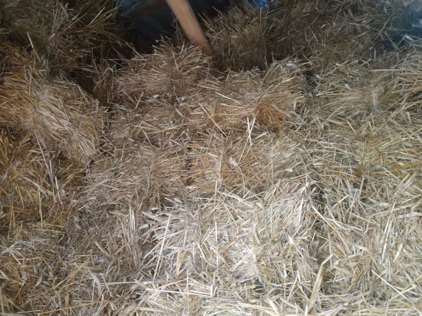 Продам тюки соломи