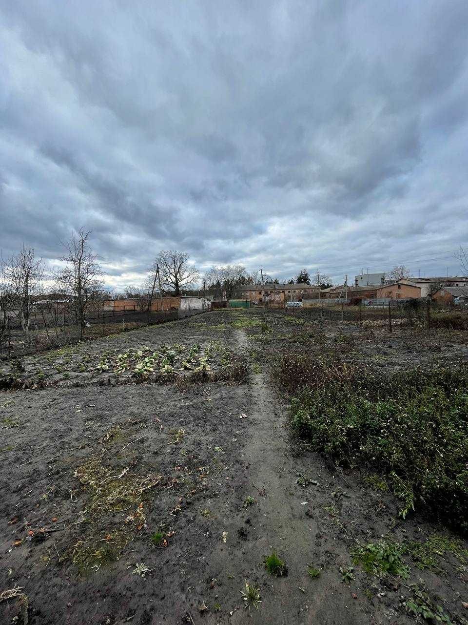 Будинок в центрі .  Село  Журавка. Чернігівська область