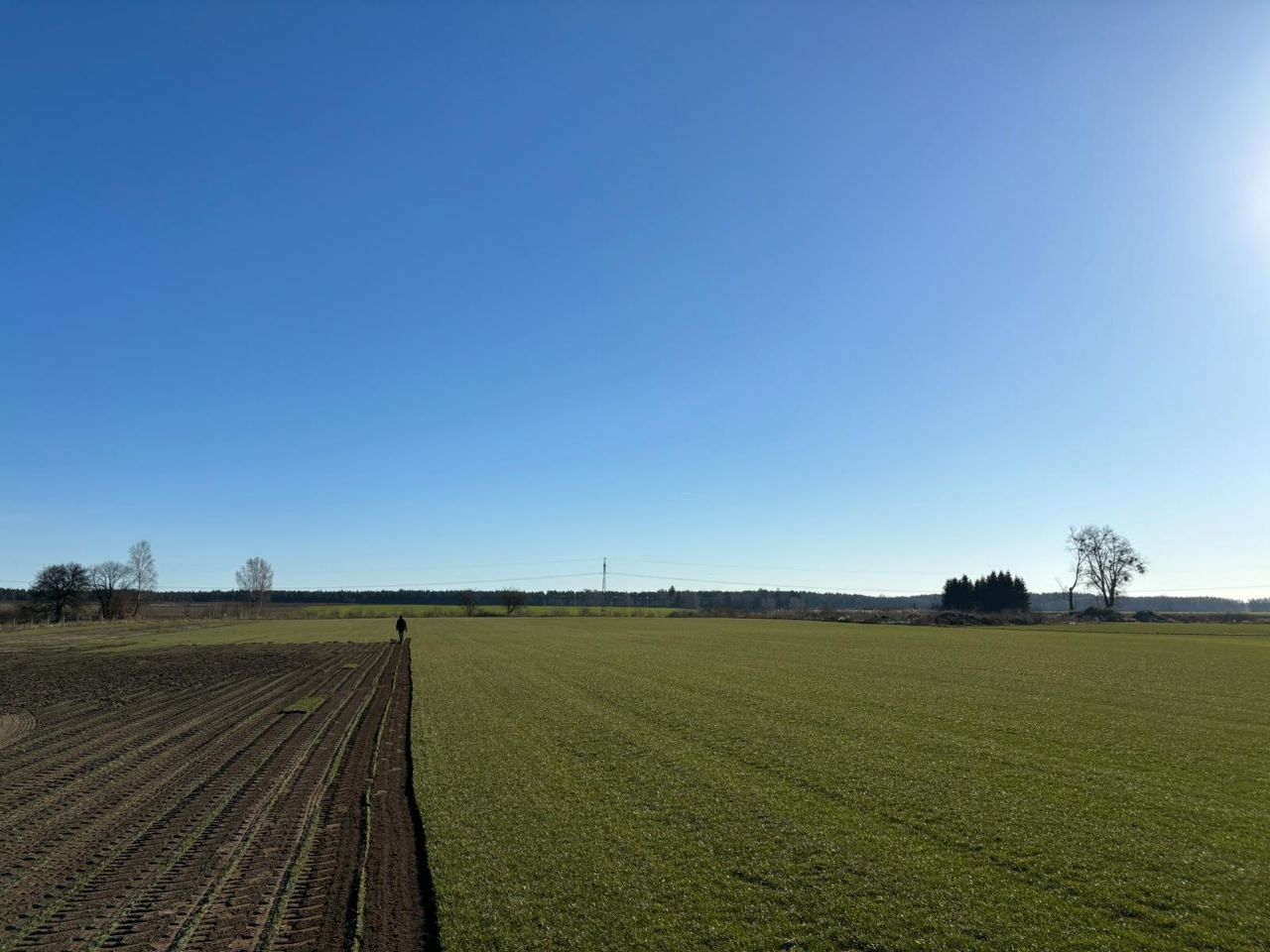 Trawa z rolki "Premium" – plantacja (*montaż)