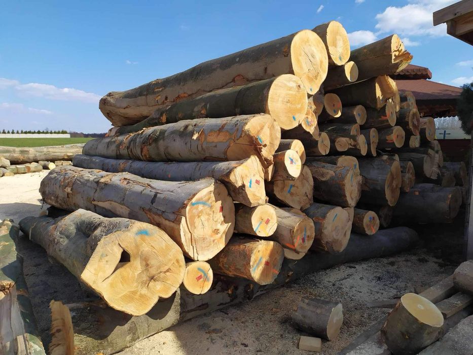 Drewno kominkowe buk opałowe brzoza