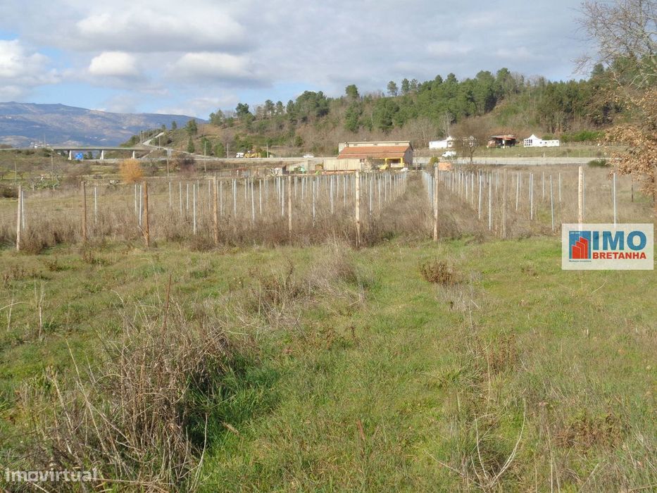 Quinta - Zona de Alcaria - Fundão