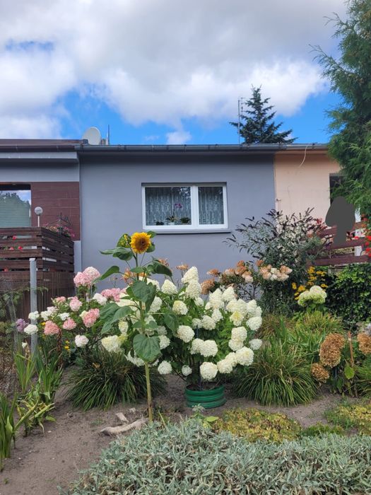 Mieszkanie w Klępczewie z dużym ogrodem i podwórkiem